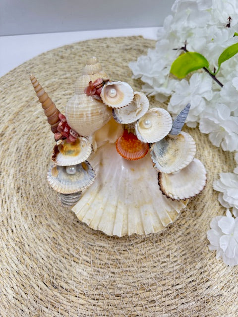 sea shell sieraden houder