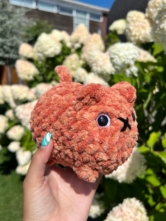 oranje kat
