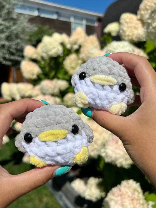 baby pinguïn