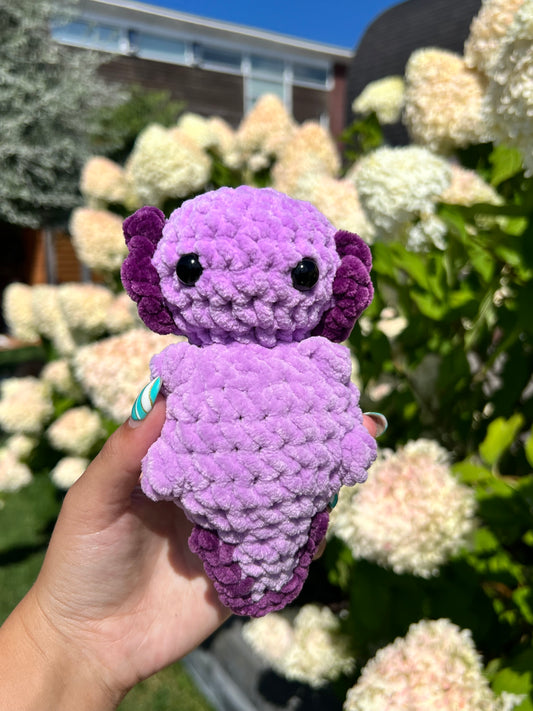 paarse axolotl