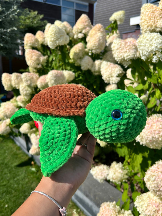 grote schildpad
