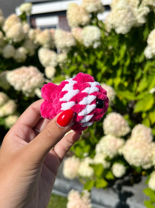mini roze vis