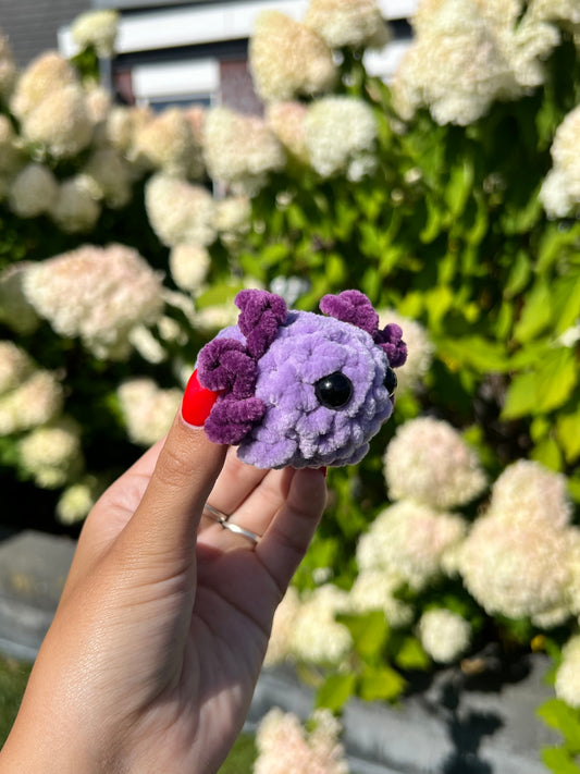 mini paarse axolotl