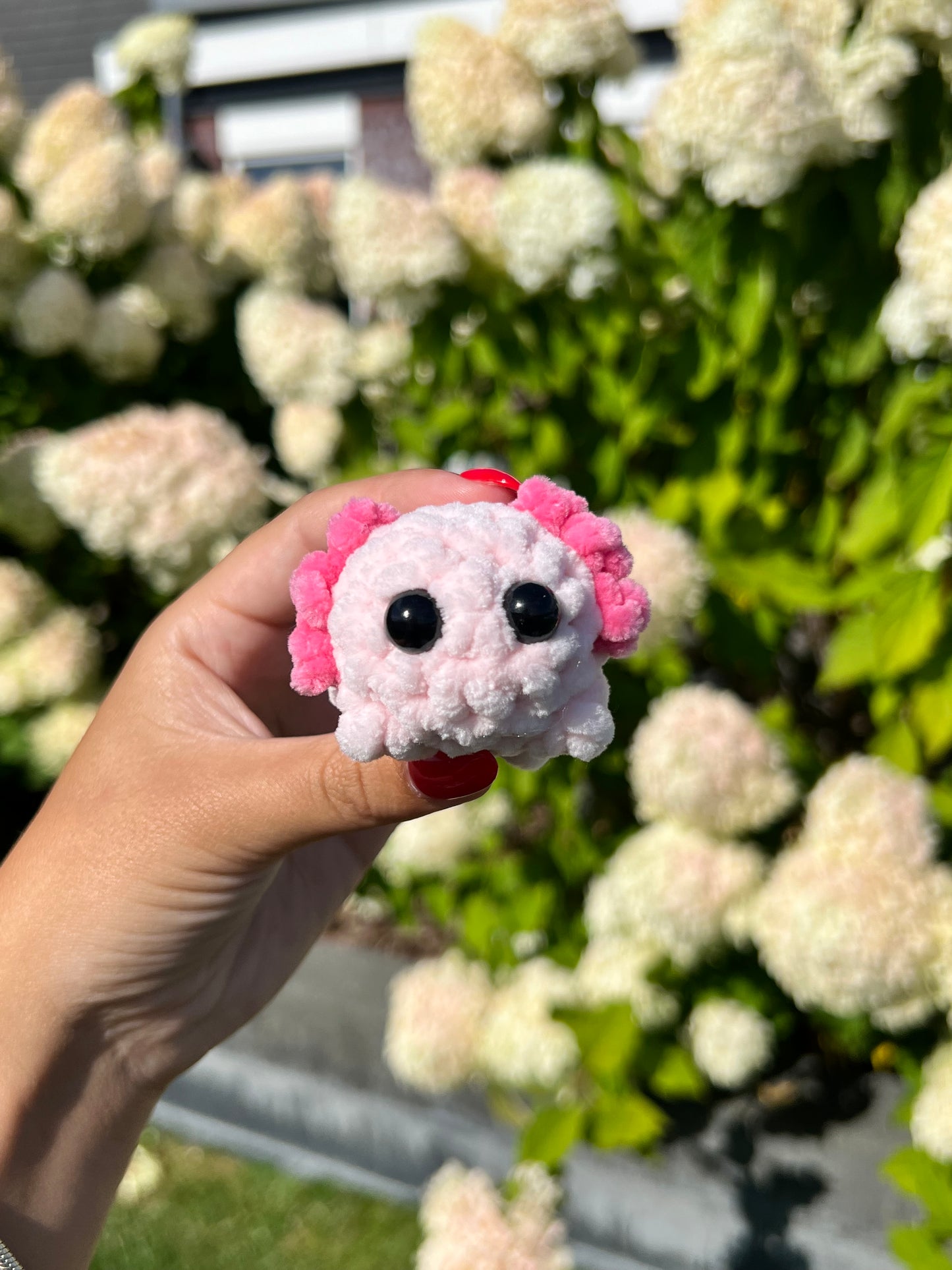 mini roze axolotl