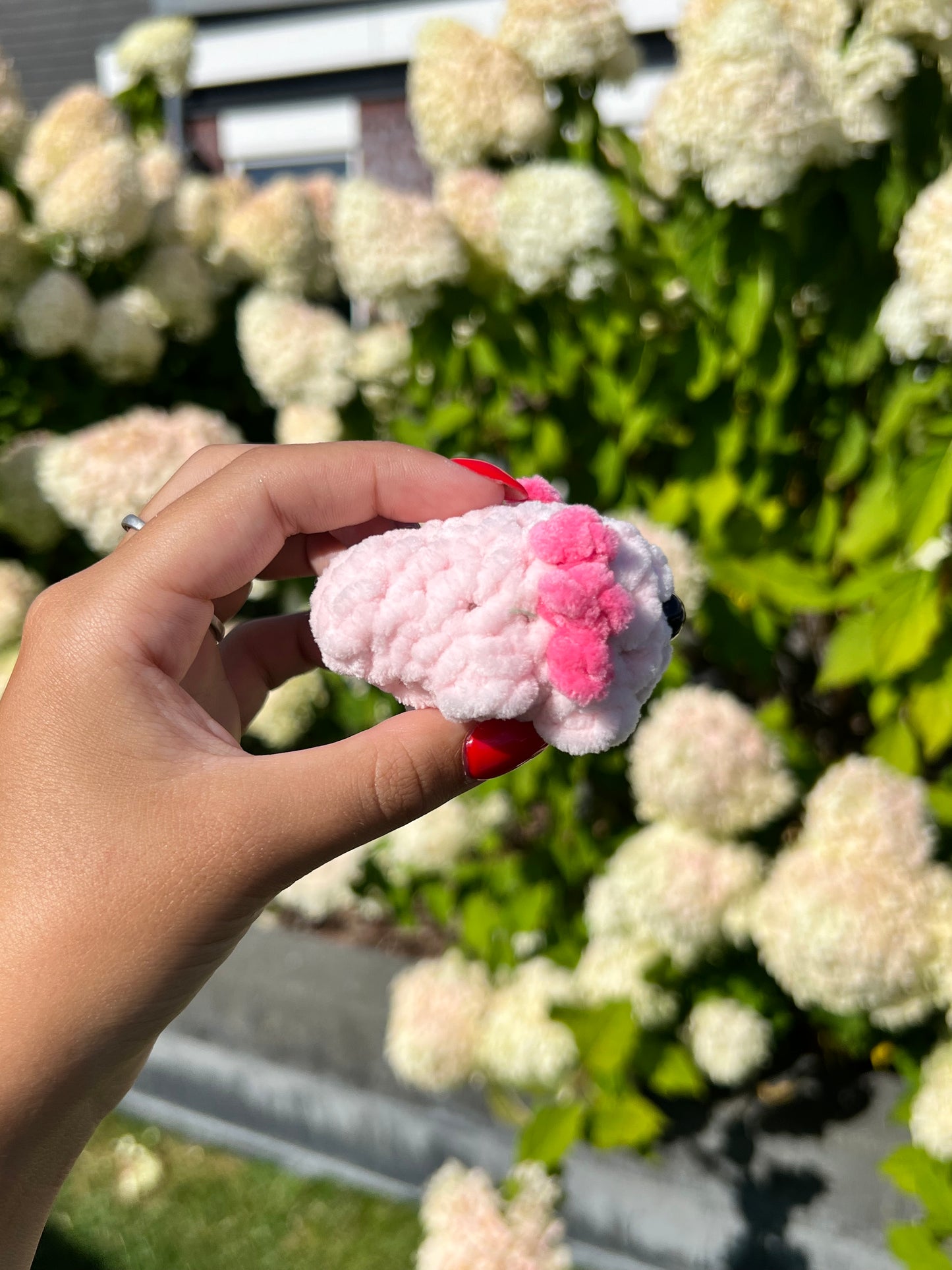 mini roze axolotl