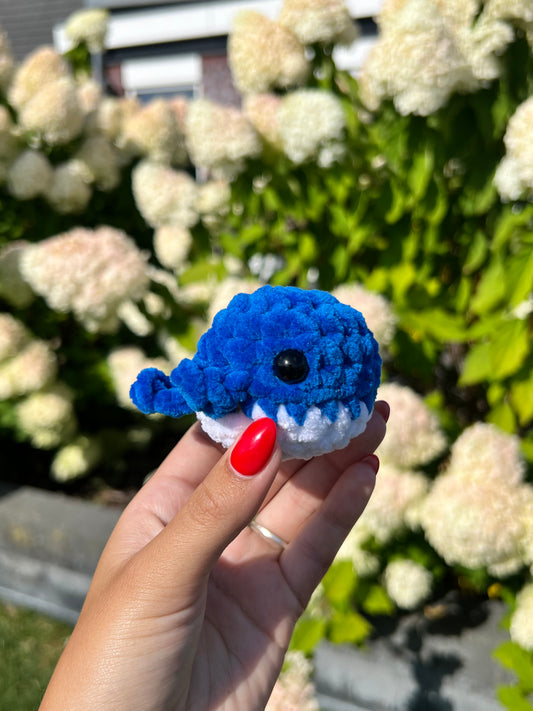 donker blauw walvis