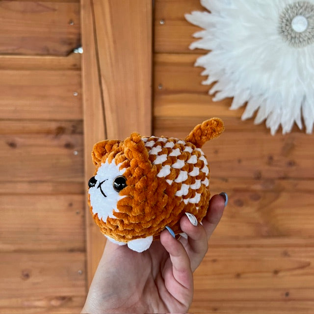 maat S kat oranje met wit