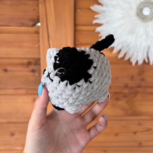 maat S kat grijs met zwart