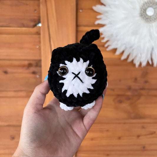 maat S kat zwart met wit