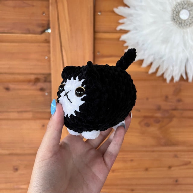 maat S kat zwart met wit