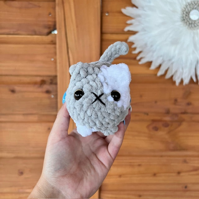 maat S kat grijs met wit