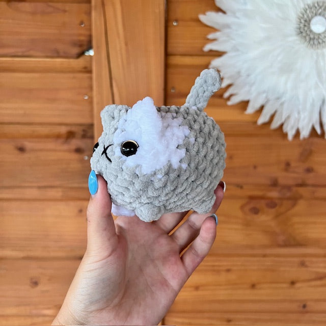 maat S kat grijs met wit