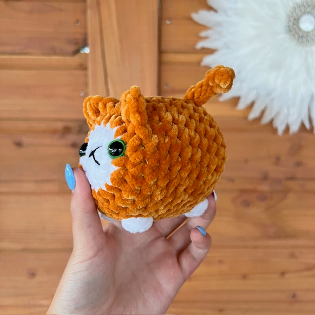 maat S kat oranje met wit