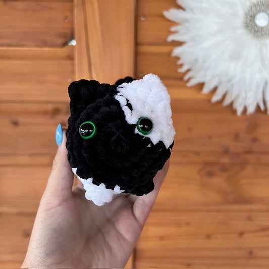 maat s kat zwart met wit