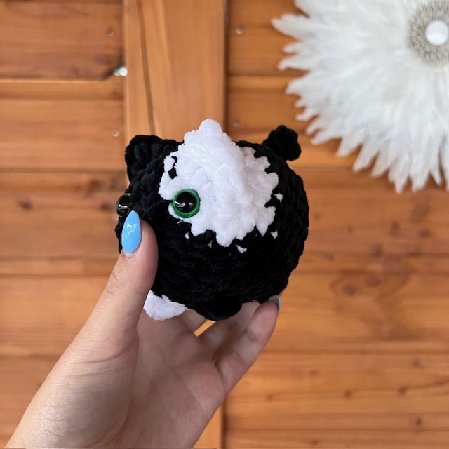 maat s kat zwart met wit