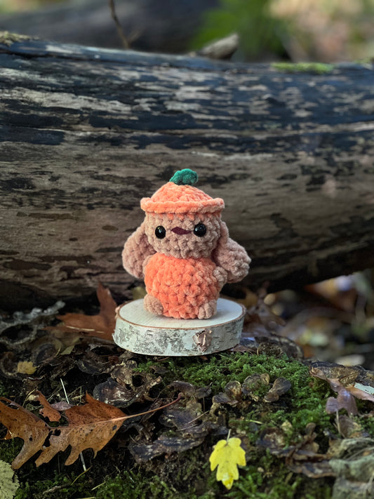 klein konijn in pompoen