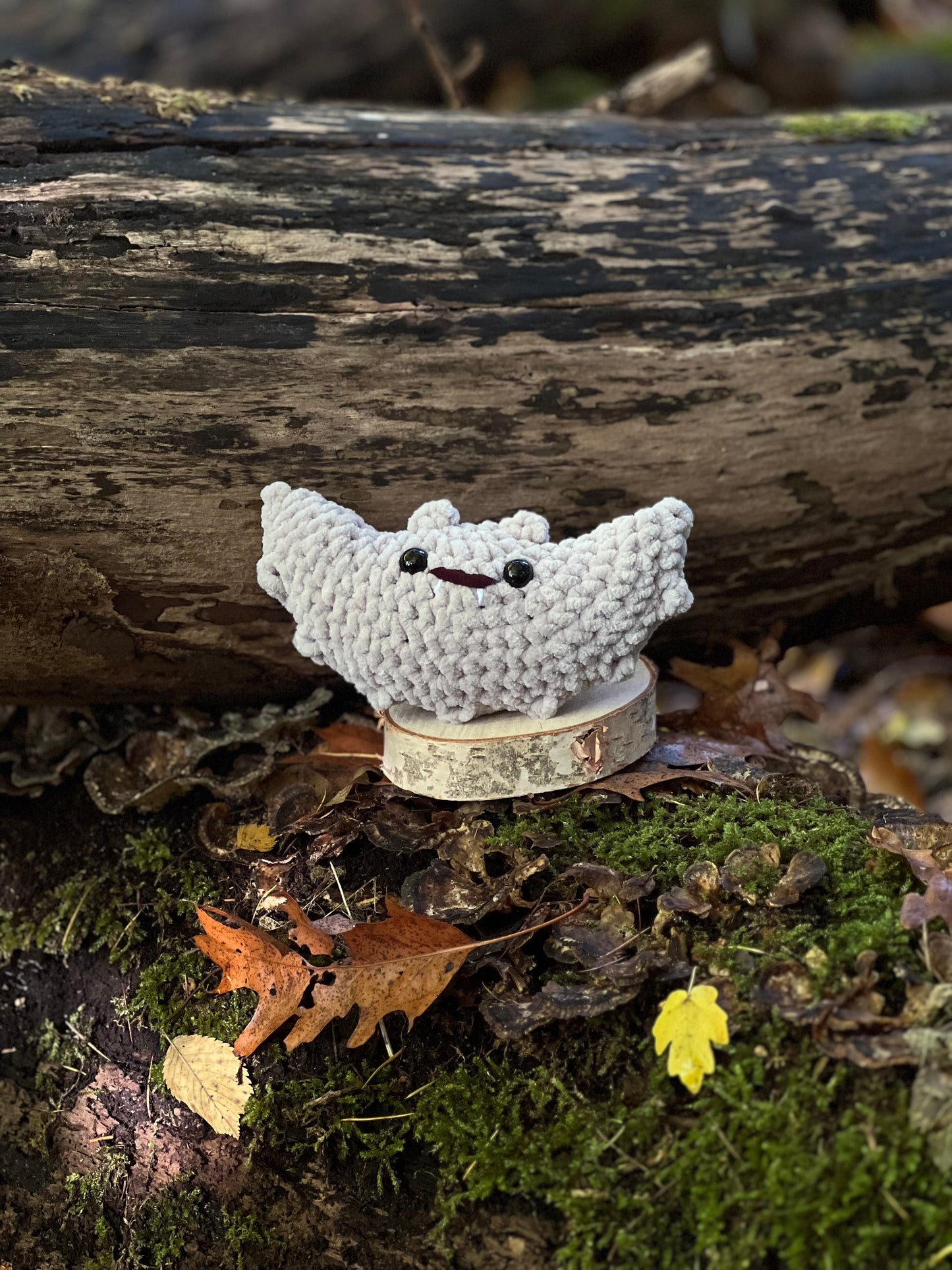 vleermuis licht grijs