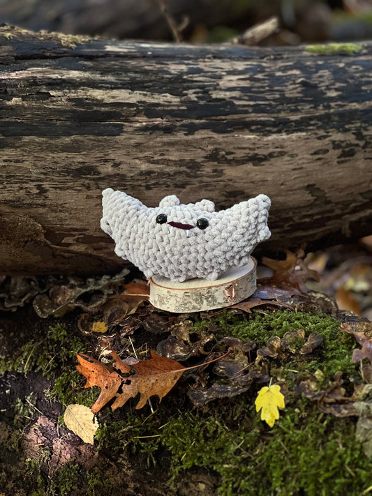 vleermuis licht grijs