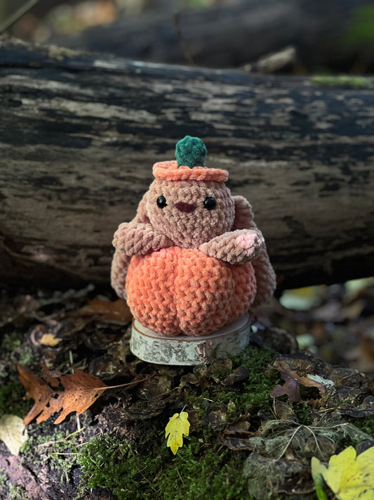 konijn in pompoen groot