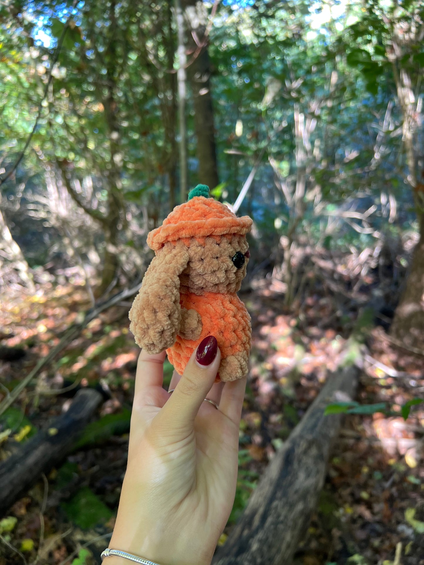 klein konijn in pompoen