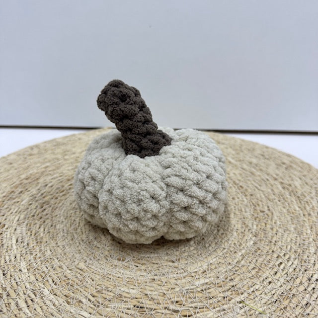 pompoen 002
