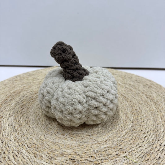 pompoen 002