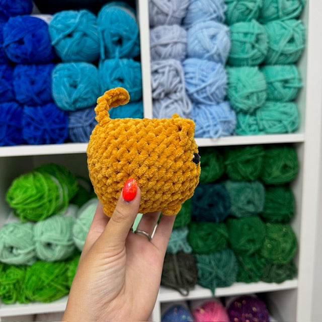 oranje kat maat S