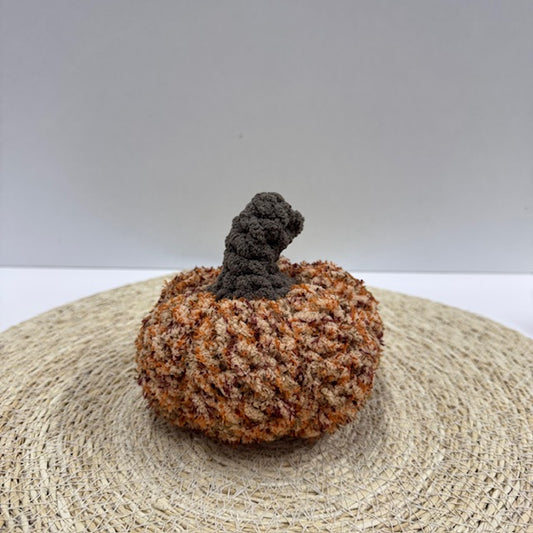 pompoen 003