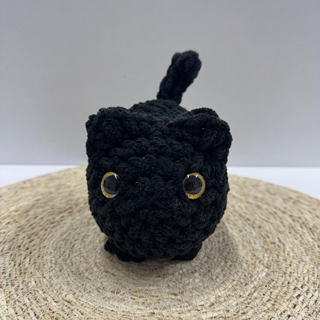 zwarte kat maat M