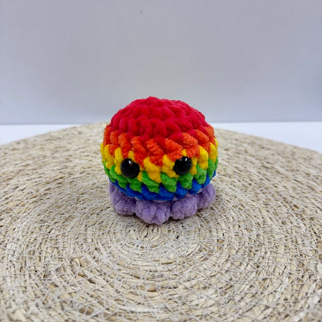 regenboog octo
