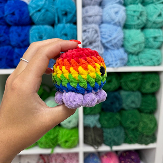 regenboog octo