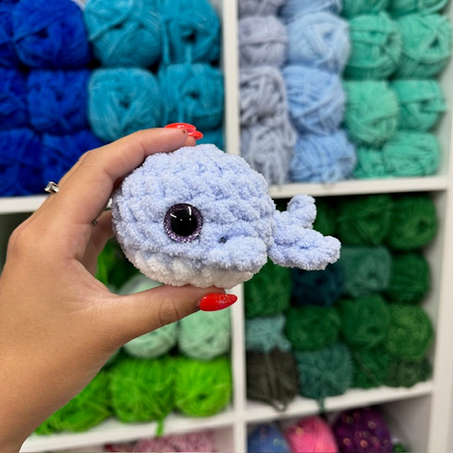 walvis