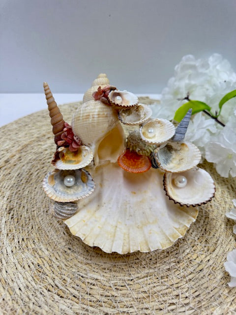 sea shell sieraden houder