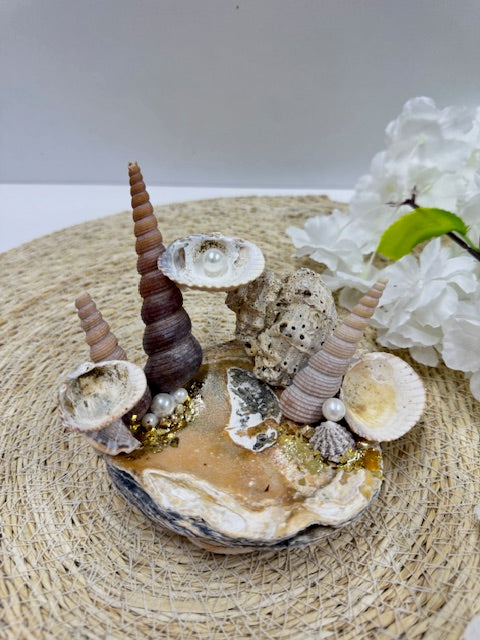 sea shell sieraden houder