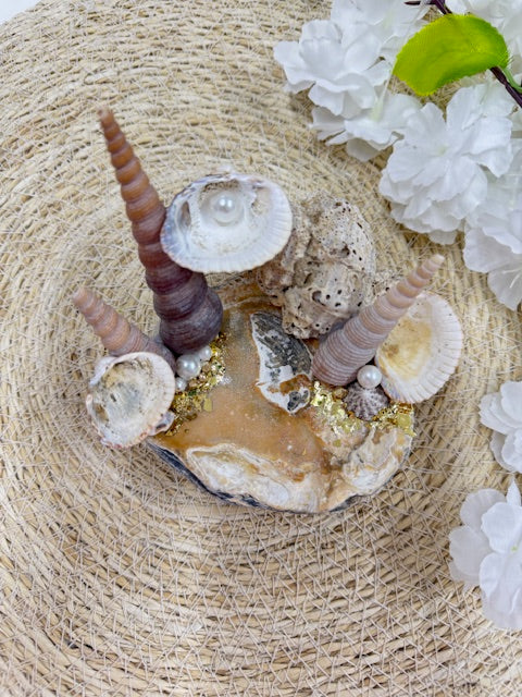 sea shell sieraden houder