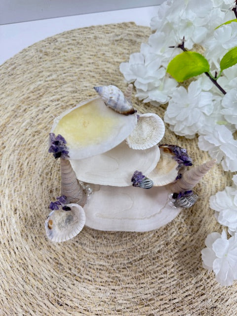 sea shell sieraden houder